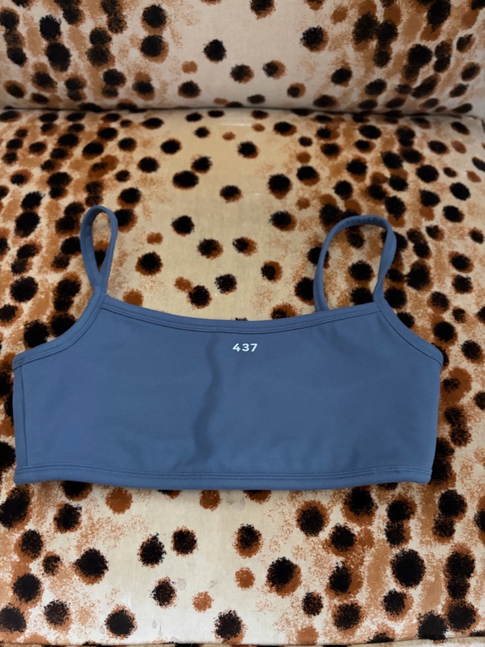 437 Sports Bra in Dusty Blue
